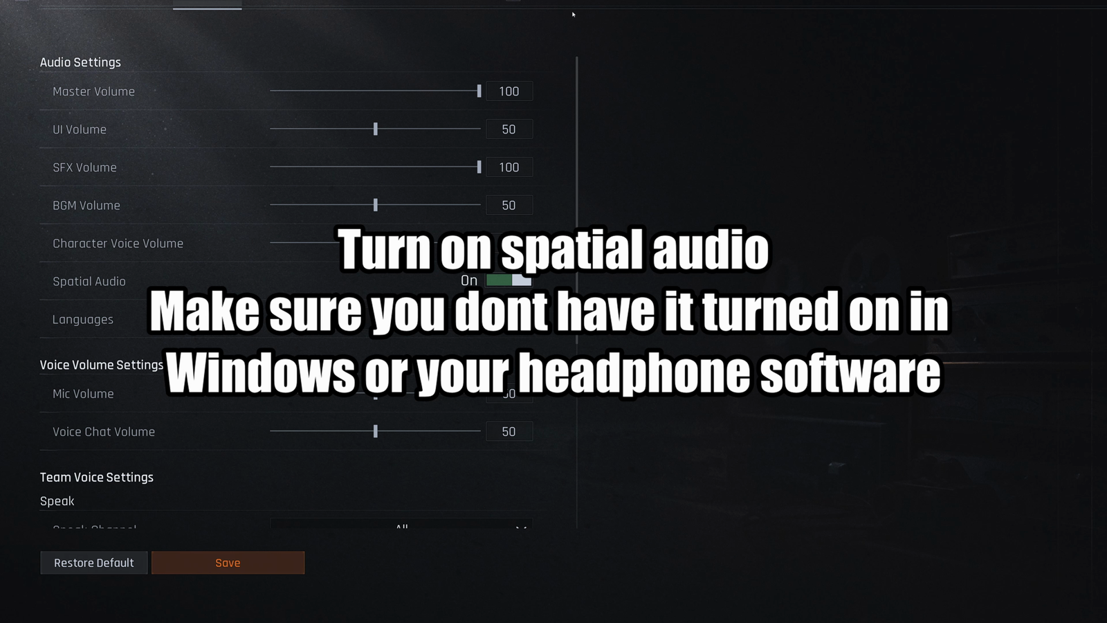 Arena Breakout Infinite audio settings with Spatial Audio enabled for positional footsteps