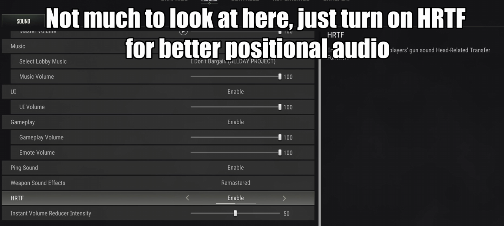 PUBG audio settings with HRTF enabled for better directional footstep positioning